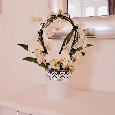Mare All'arco Bed & Breakfast Gaeta